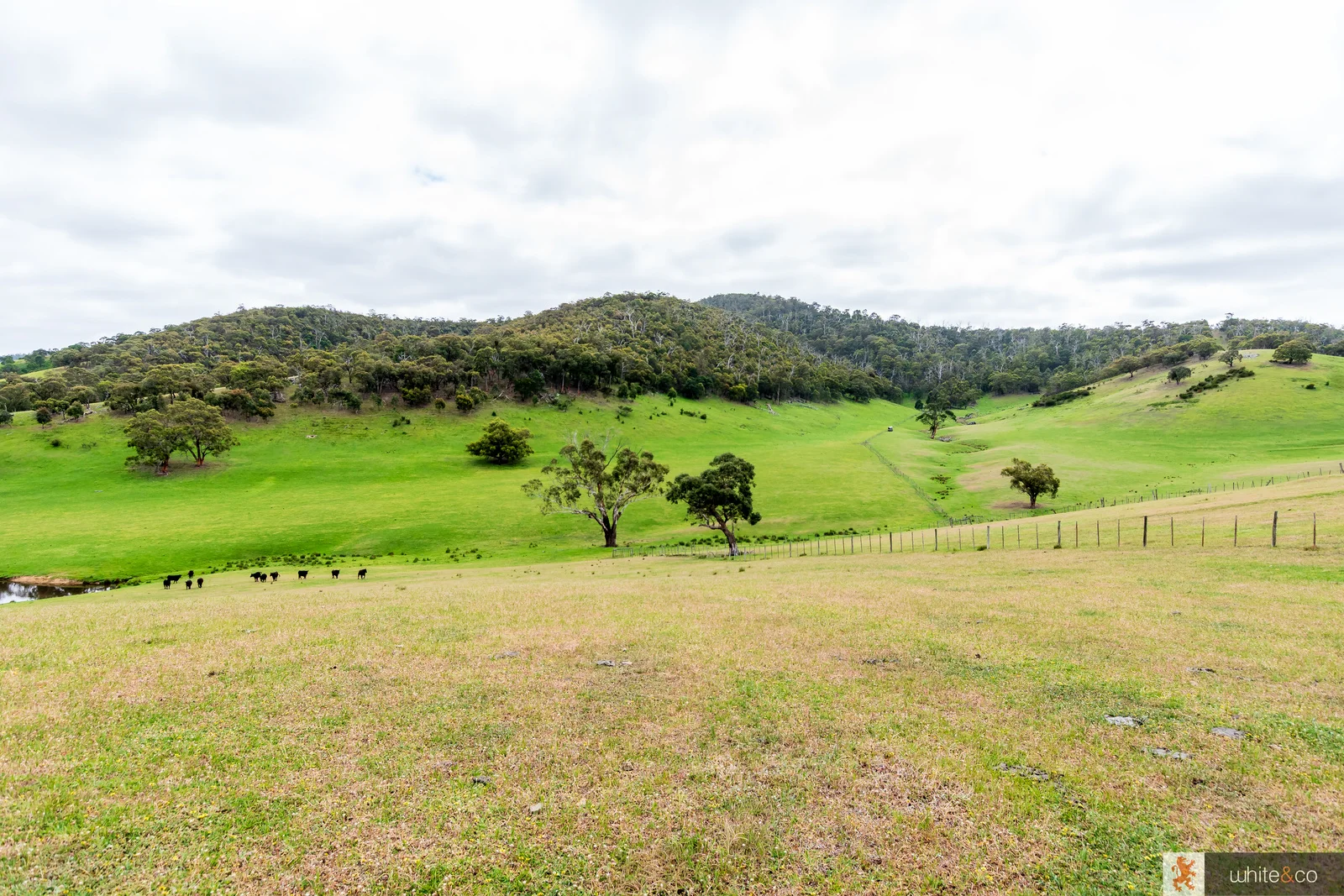 Additional image 8 of 1, 2 & 3/170 Dalls Road, Whittlesea VIC 3757