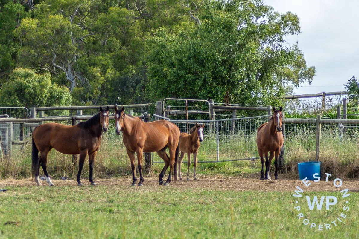 Additional image 12 of 19 Chambers Road, Nairne SA 5252