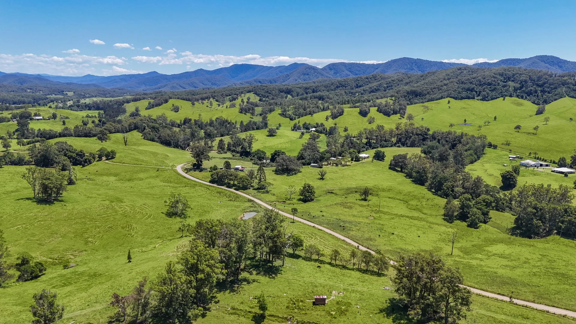 55 Argues Rd, Upper Taylors Arm NSW 2447