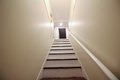 Additional image 28 of 3405 Newton St Unit 1473421P, Mount Rainier, MD, 20712