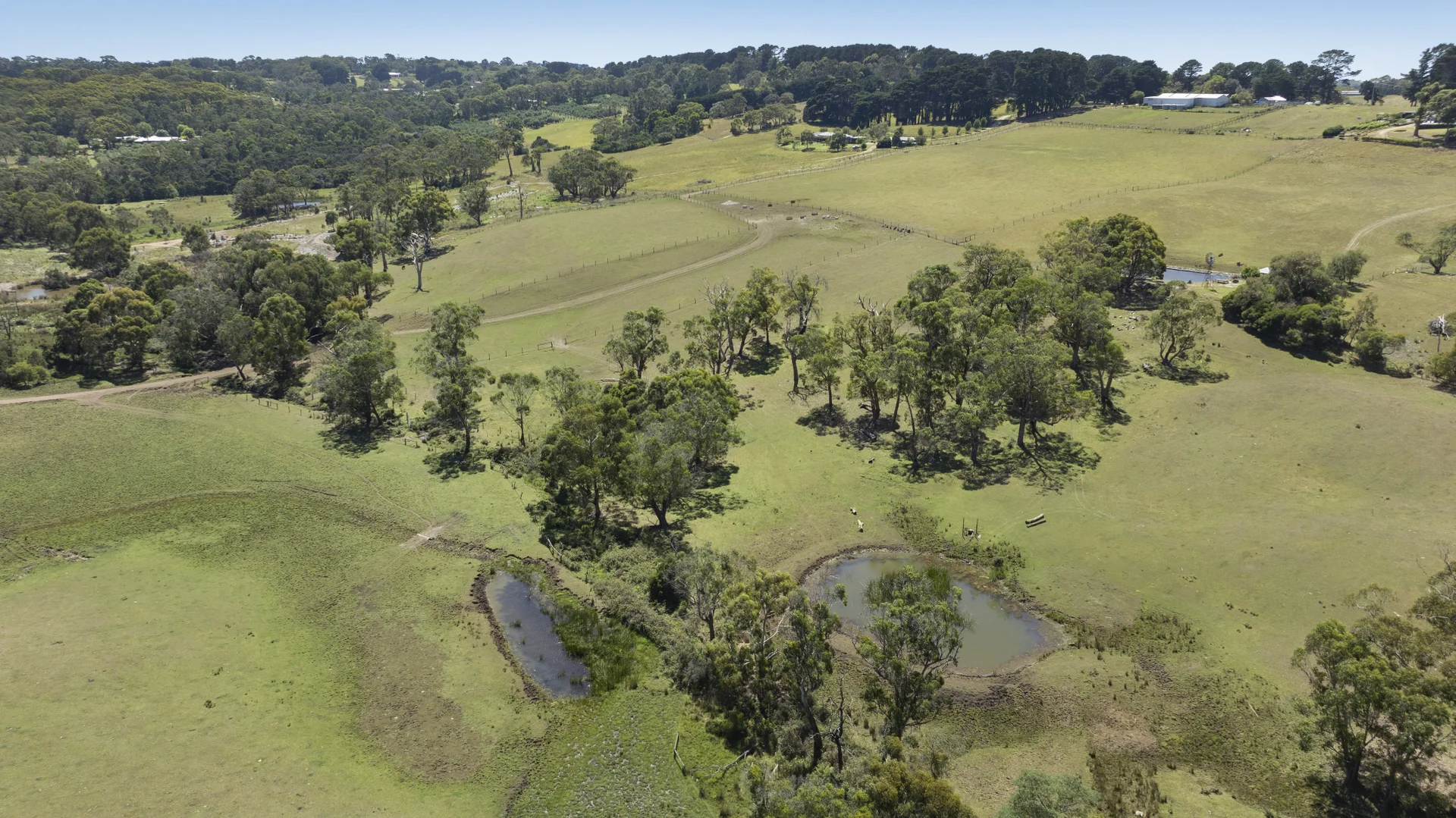 Additional image 5 of 180 Main Creek Road, Arthurs Seat VIC 3936