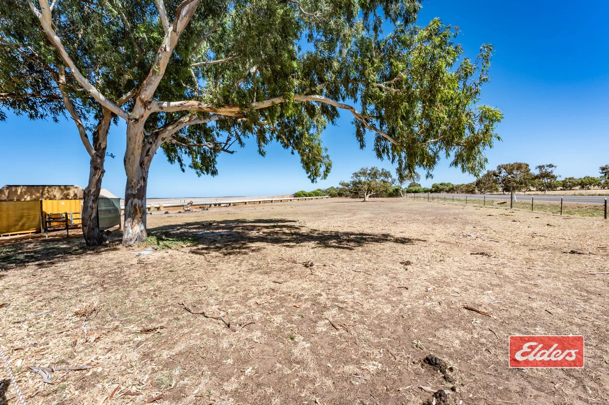 Additional image 21 of 817 McCartney Road, Georgina WA 6532