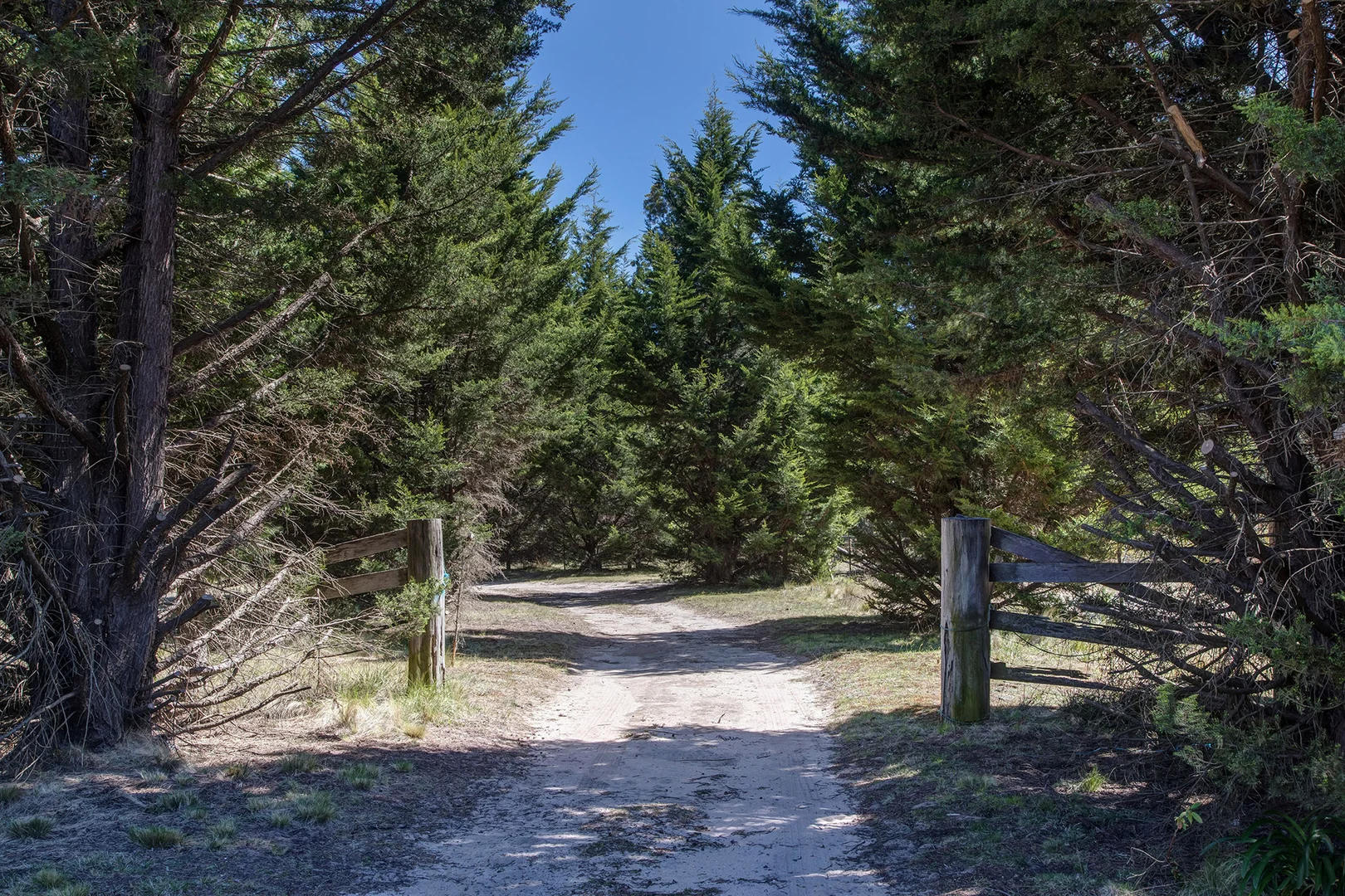 Additional image 15 of 1630 Tugalong Road, Canyonleigh NSW 2577