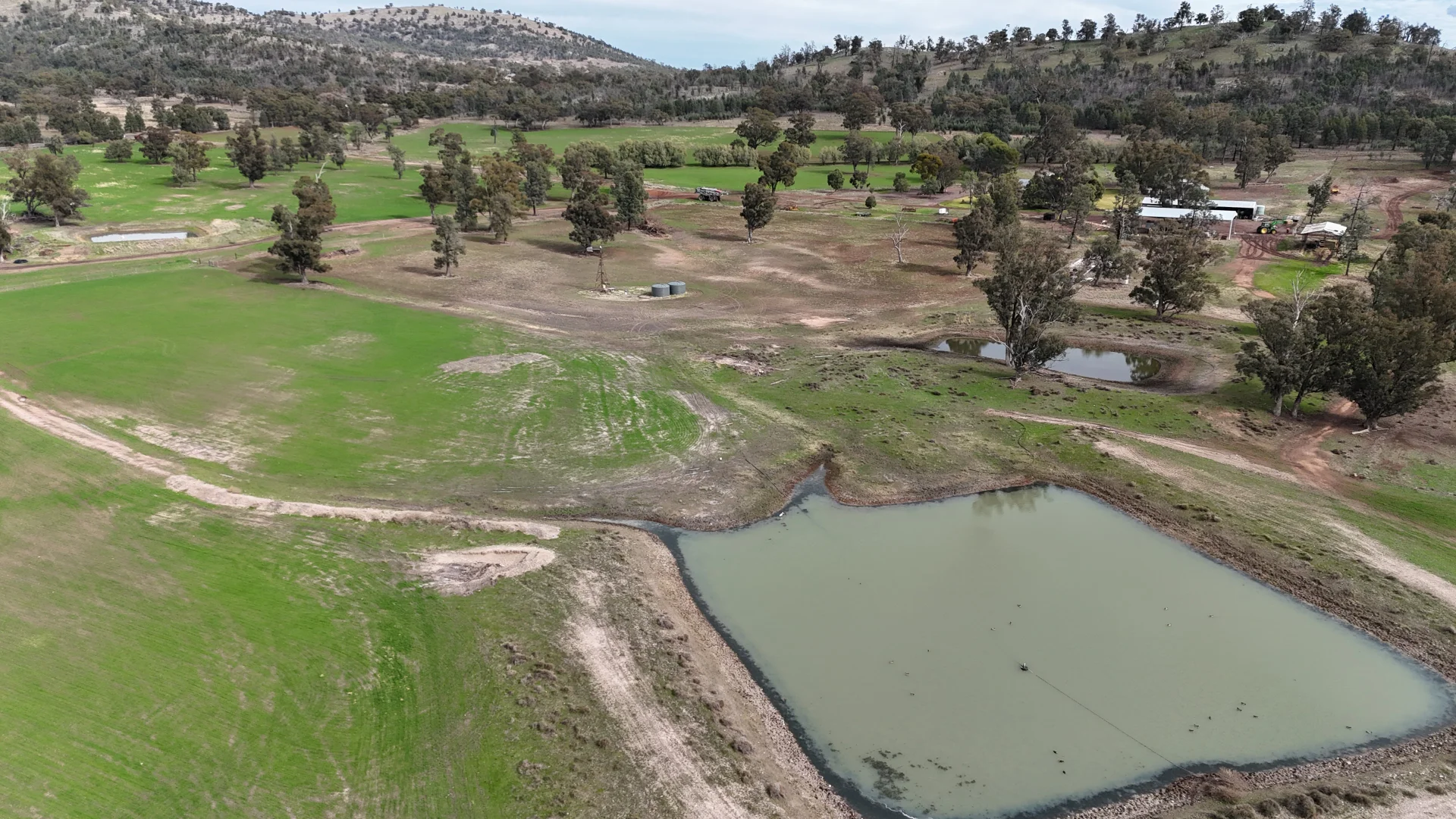 Additional image 34 of 877 Mount Tallabung Road, Forbes NSW 2871