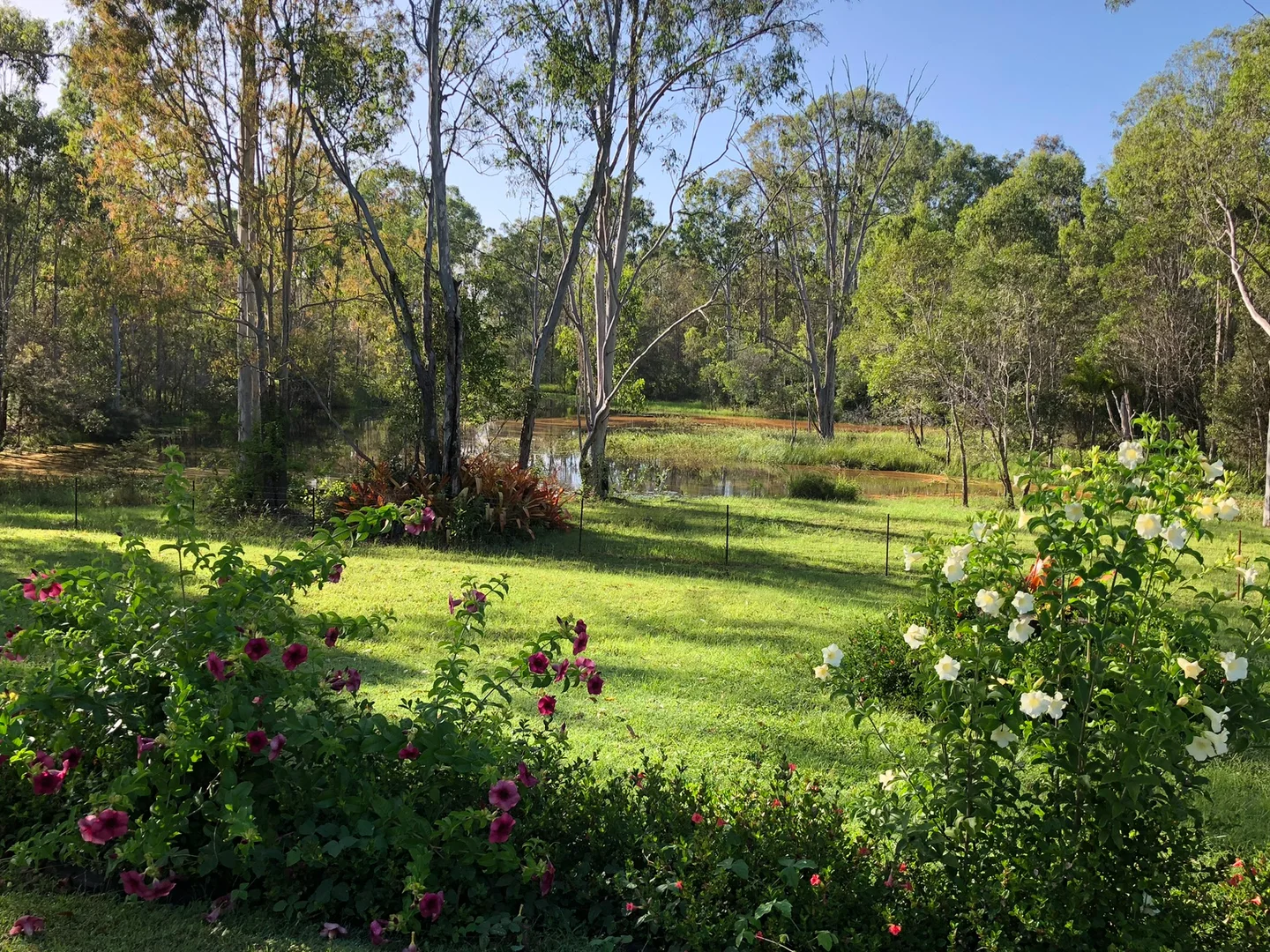 Additional image 34 of 847 Old Gympie Road, Paterson QLD 4570