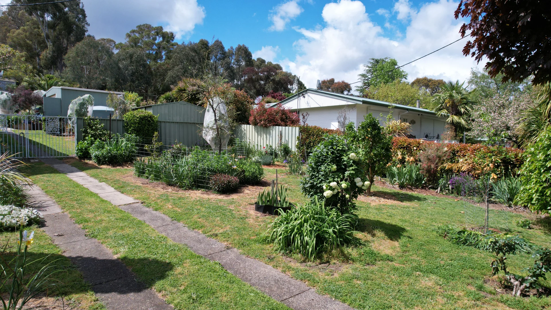 Additional image 14 of 74 King Street, Tumbarumba NSW 2653