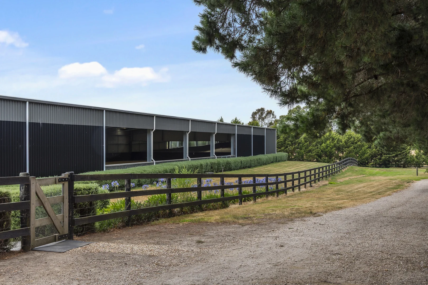 Additional image 19 of 141 Fraser Road, Lancefield VIC 3435
