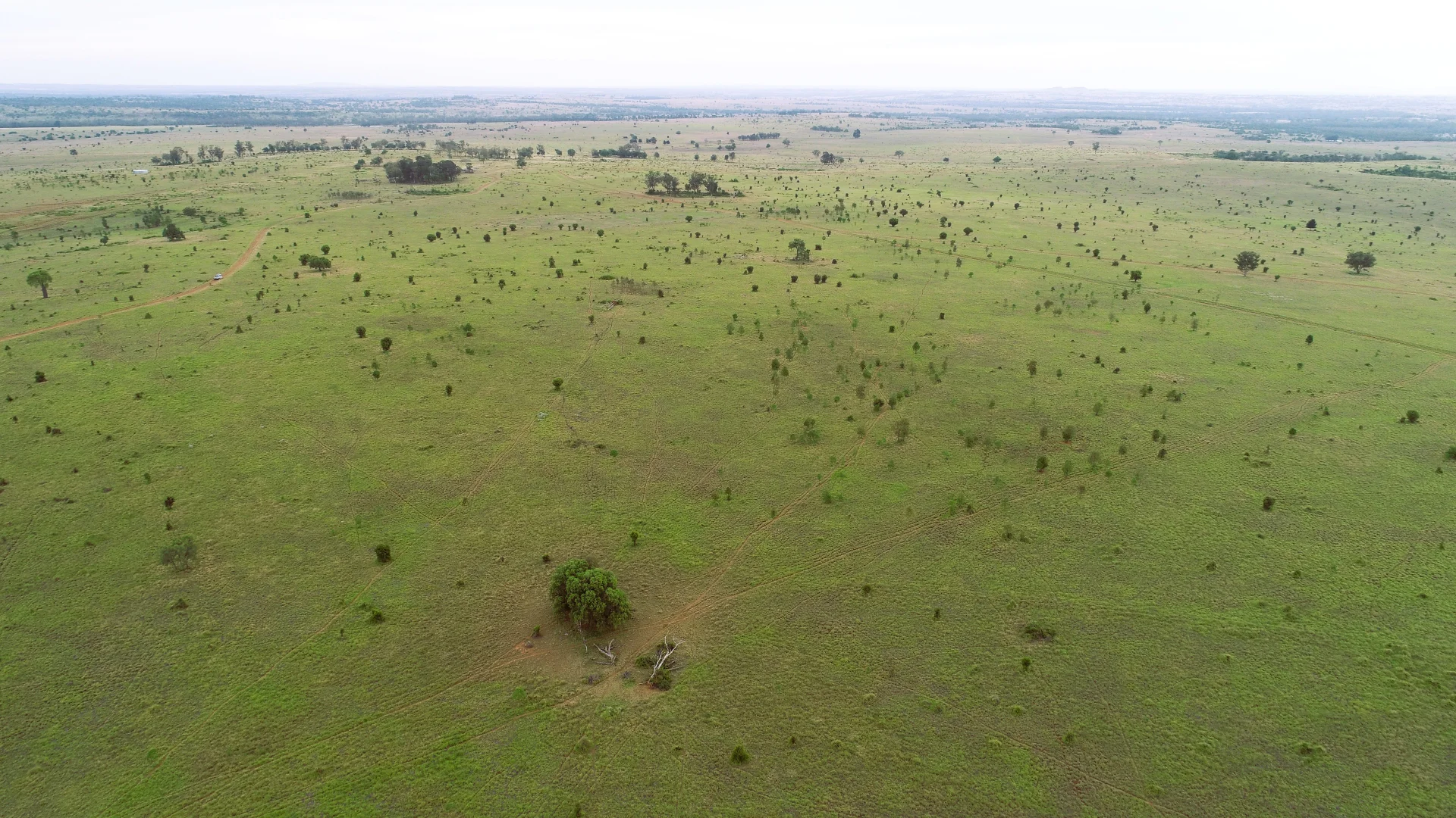 Additional image 8 of 'Bracco' Orallo Road, Roma QLD 4455