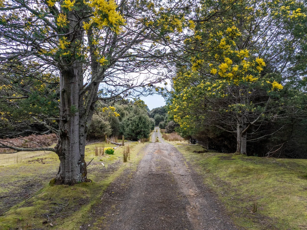 Additional image 3 of 12627 Highland Lakes Road, Golden Valley TAS 7304