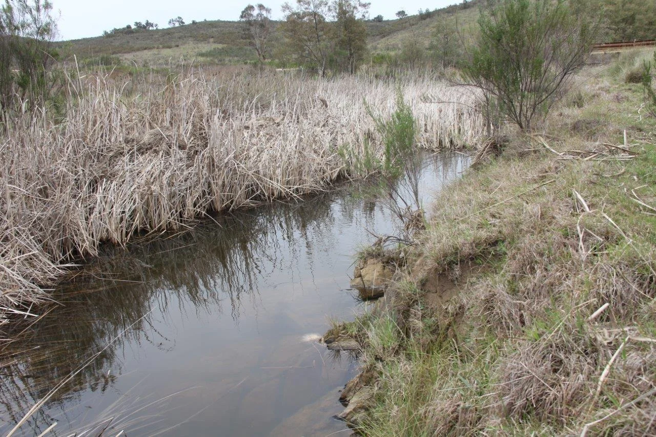 Additional image 12 of 2008 Kiowarrah Road, Bevendale NSW 2581