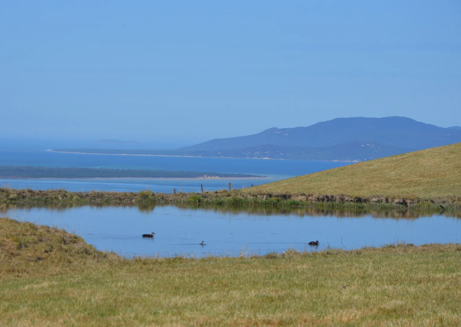 Additional image 14 of 20 Gryll Road, Welshpool VIC 3966