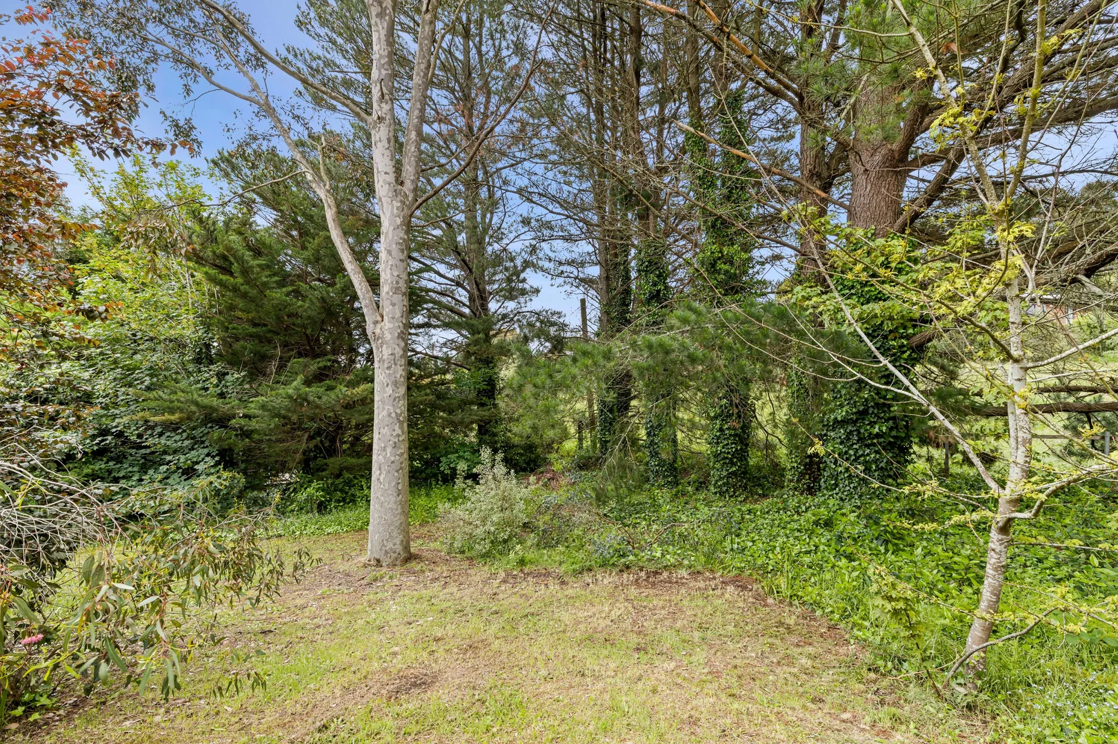 Additional image 17 of 83 Central Springs Road, Daylesford VIC 3460