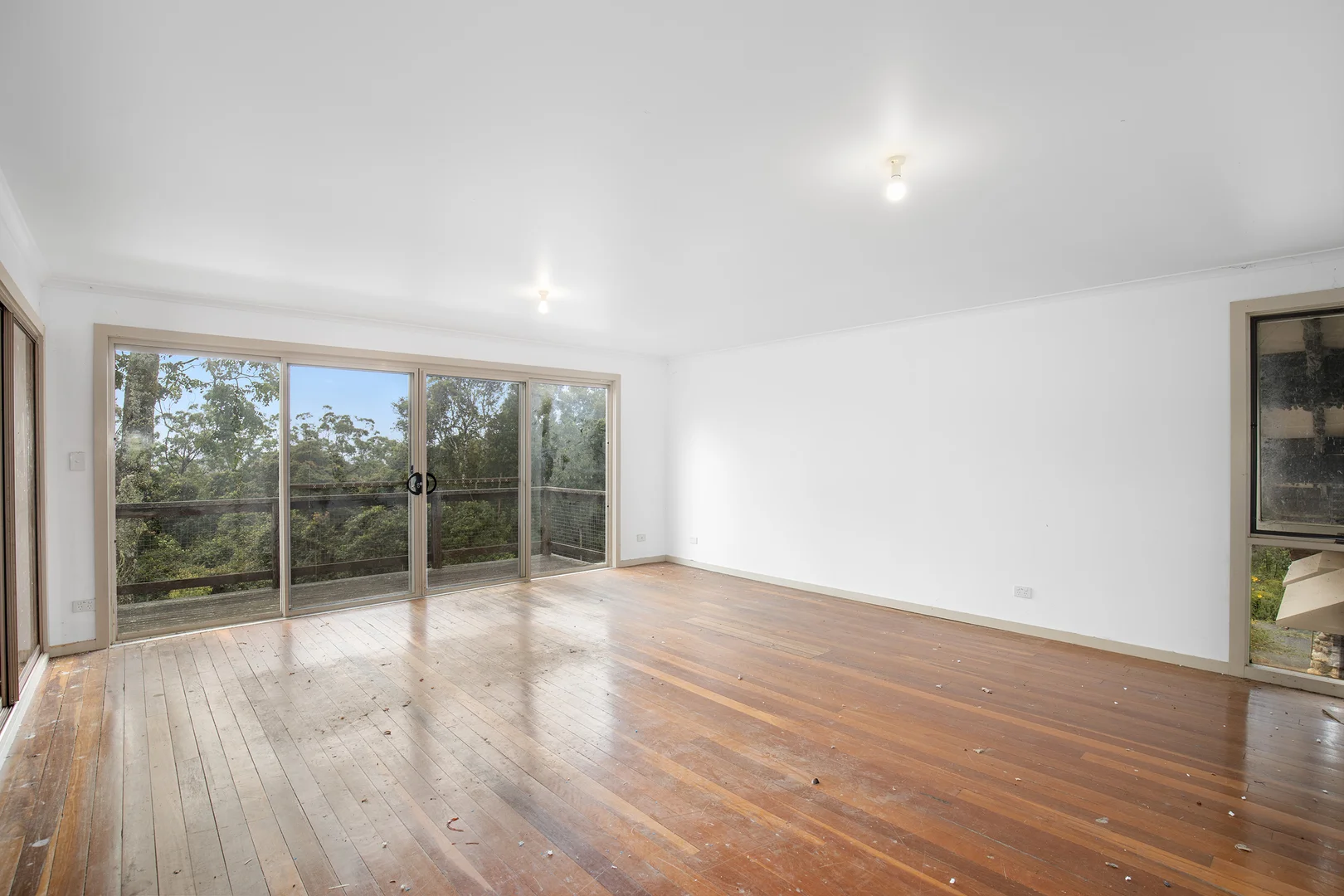 Additional image 9 of 149 Johnsens Road, Dorrigo NSW 2453