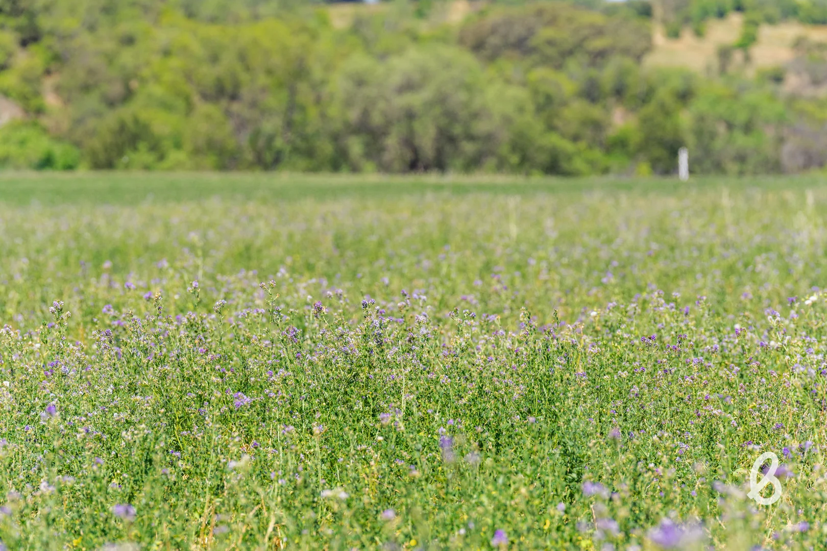 Additional image 30 of 562 Yarrawa Road, Yarrawa NSW 2328