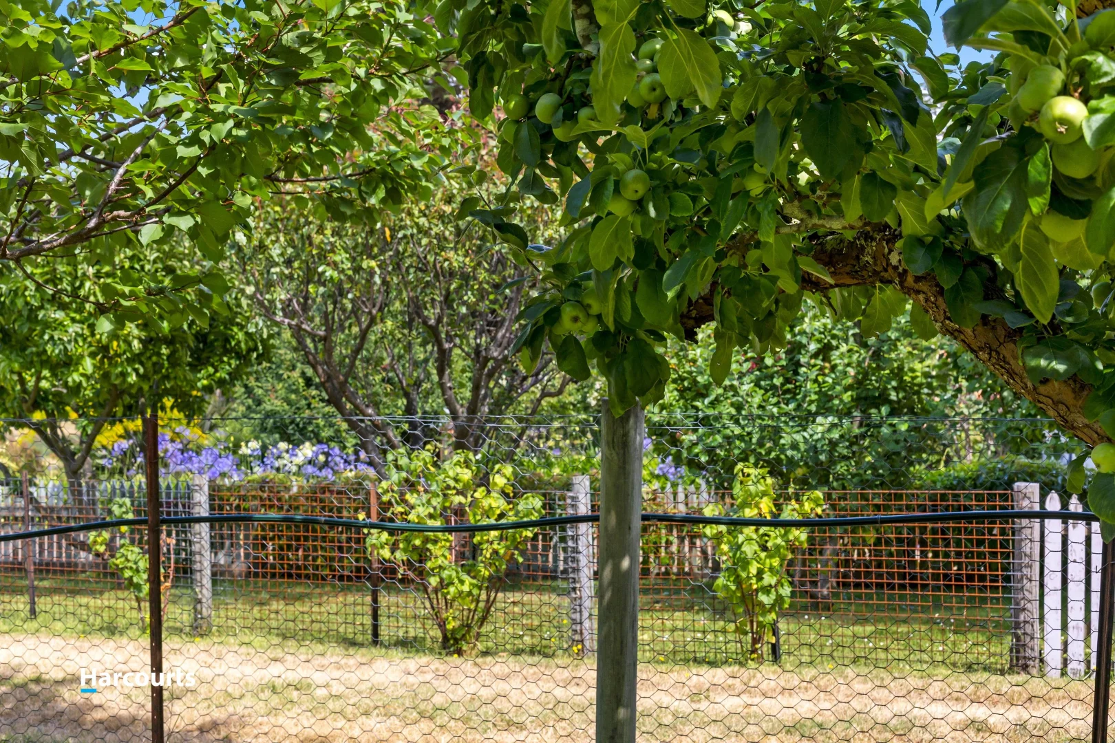 Additional image 26 of 11 Langridge Road, Gardners Bay TAS 7112