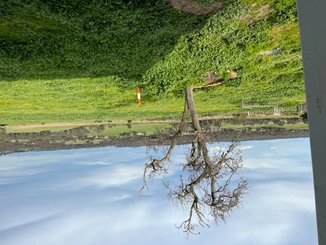 Additional image 14 of 31B/259 Greenoch Road, Red Lion VIC 3371