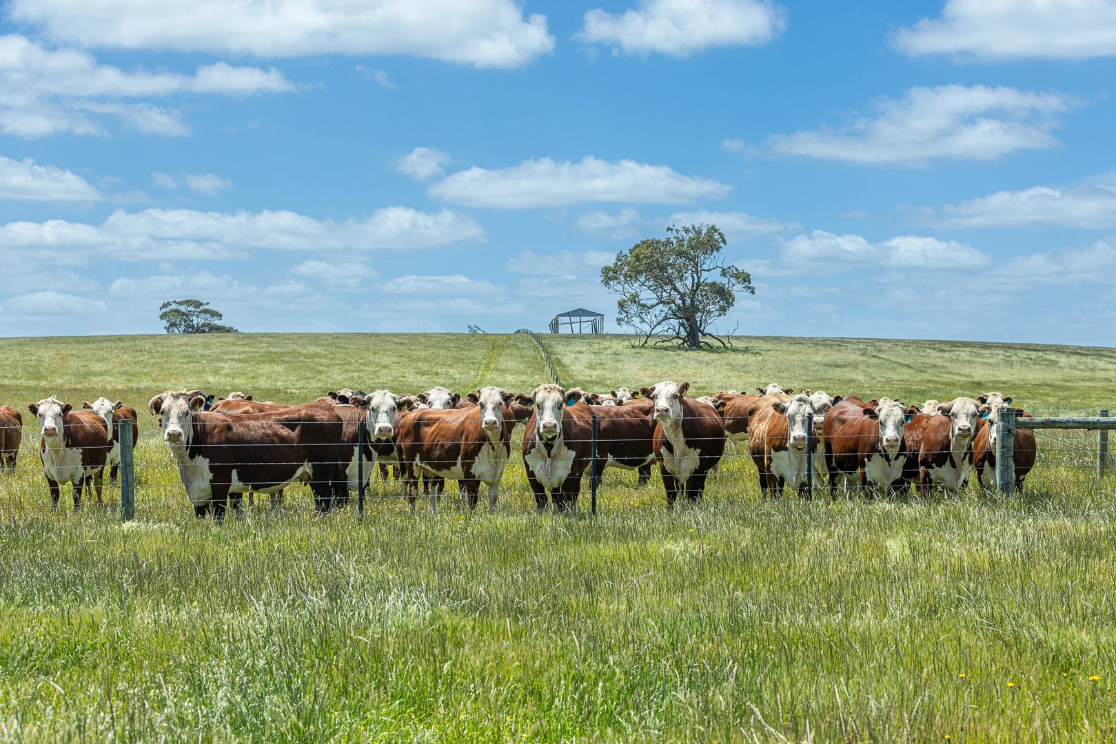 Additional image 15 of 1090 Six Chain Road, Killara VIC 3312