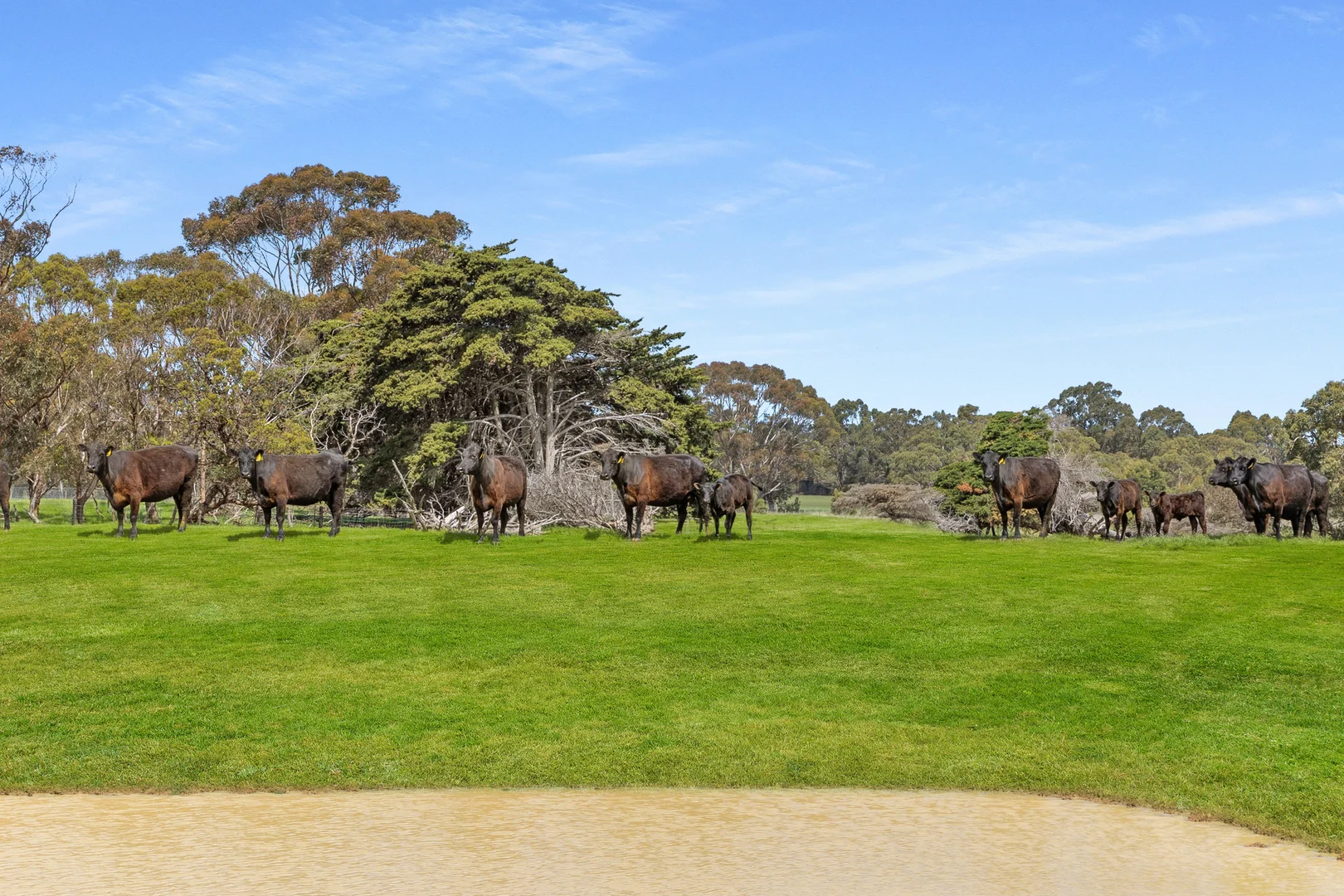 Additional image 4 of 22 Luxton Drive, Somers VIC 3927