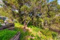 Additional image 44 of 19511 Sunken Trl, Topanga, CA, 90290