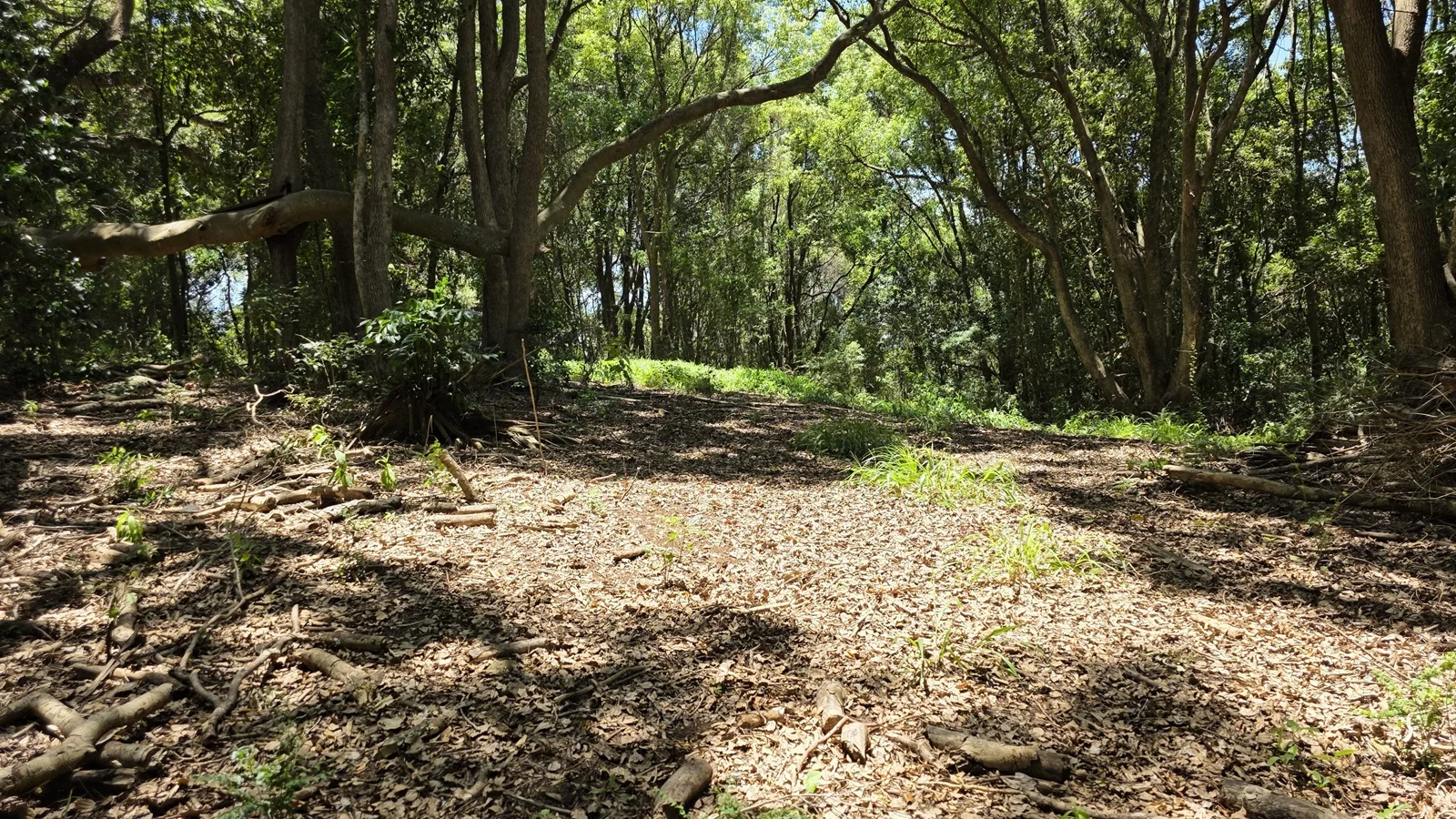 Additional image 14 of 70 North Teven Road, Teven NSW 2478