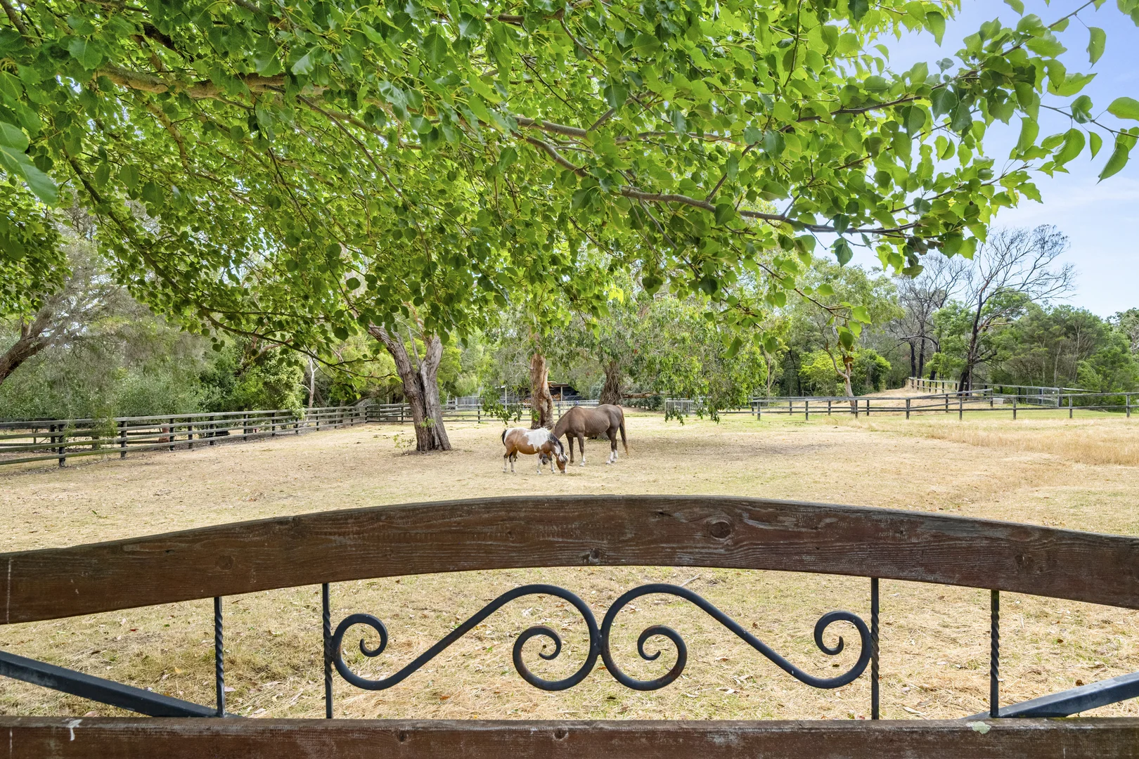 Additional image 24 of 100 Bittern-Dromana Road, Balnarring VIC 3926