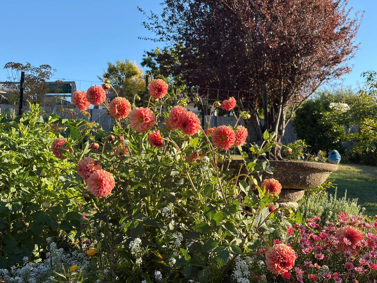 Additional image 29 of 29 Lane Street, Hillcrest TAS 7320