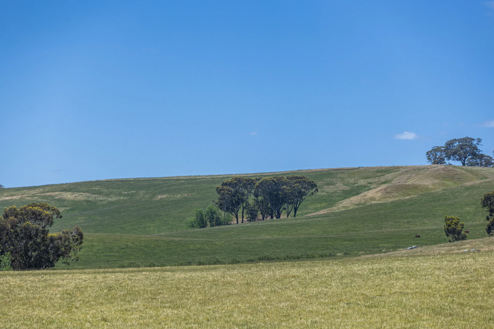 Additional image 11 of 41 Uptons Road, Wando Vale VIC 3312