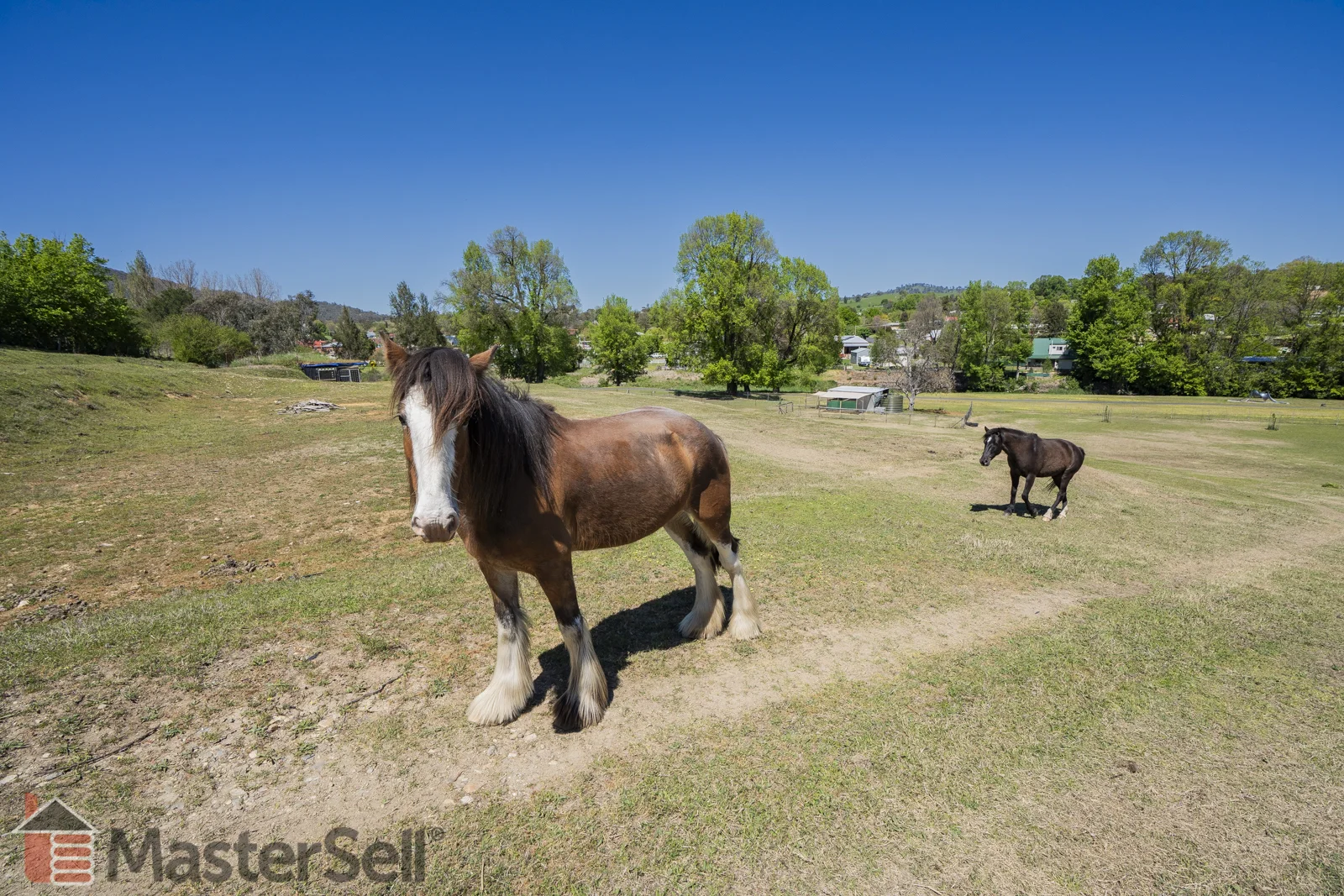 Additional image 21 of 2/43 Victoria Hill Rd, Adelong NSW 2729