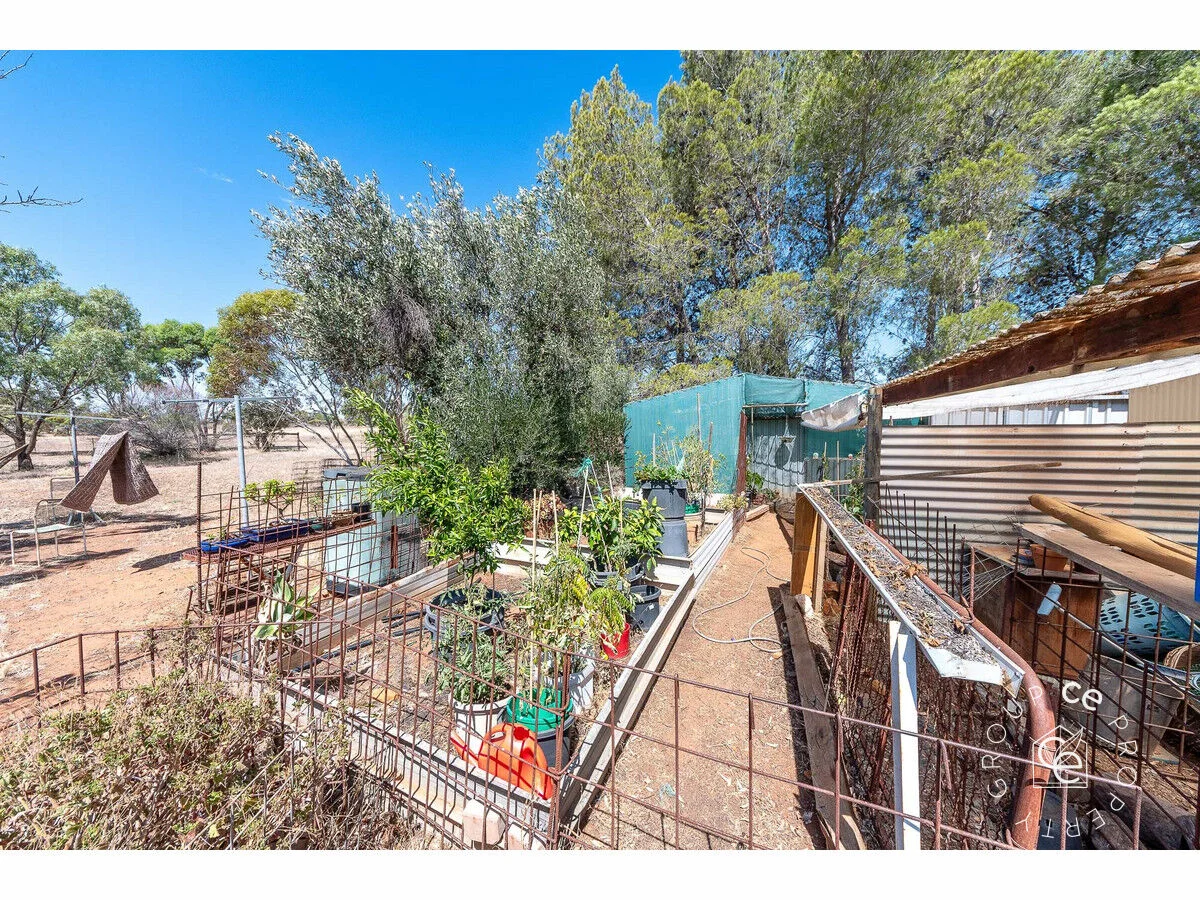 Additional image 21 of 444 Panican Hill Road, Rockleigh SA 5254