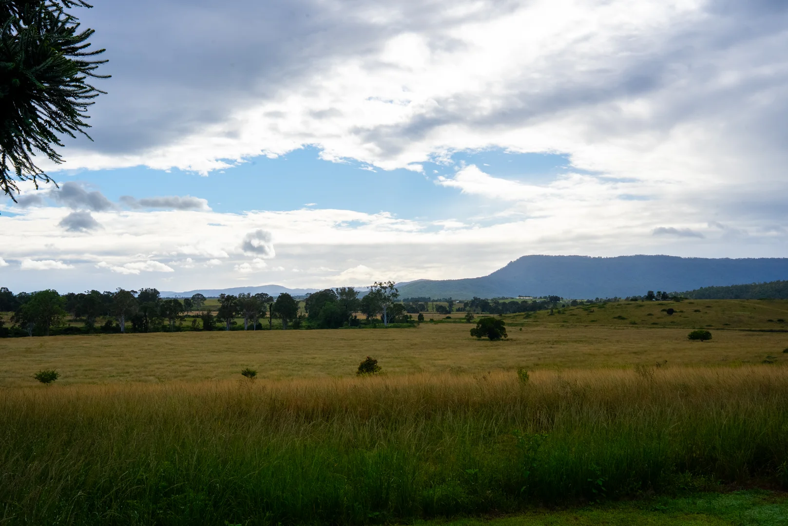 Additional image 11 of 3695 Beaudesert Nerang Road, Tabragalba QLD 4285