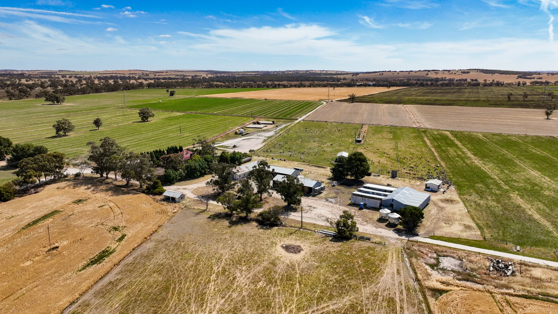 Additional image 6 of 2212 CAREW ROAD, Mundulla SA 5270