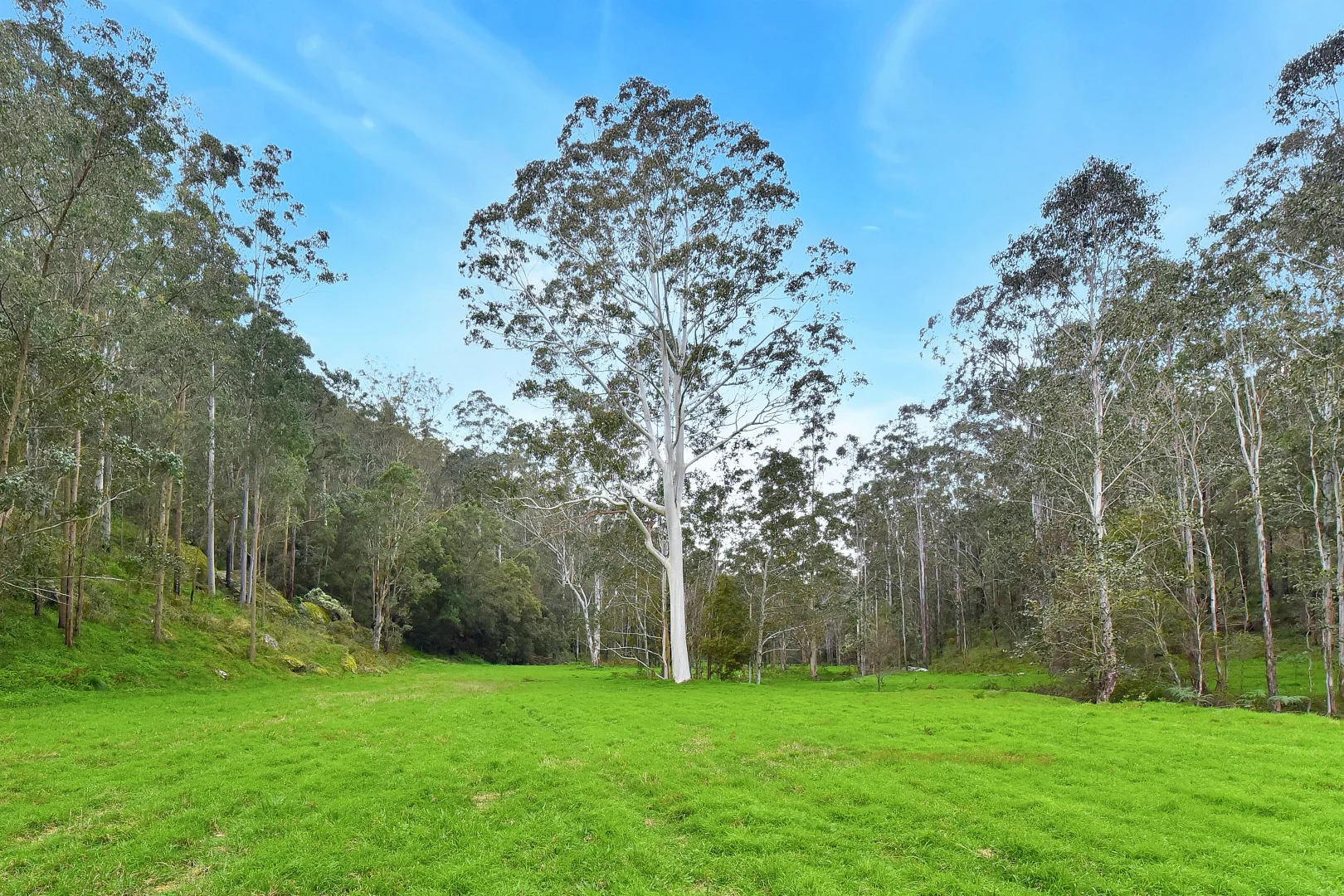 Additional image 25 of 2299 Wollombi Road, Sweetmans Creek NSW 2325