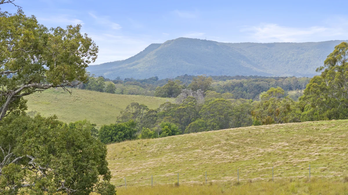 Additional image 7 of 312 Wollong Road, Quorrobolong NSW 2325