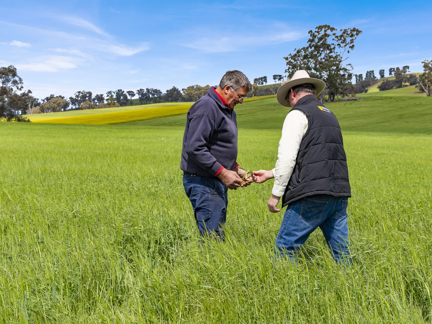 Additional image 3 of 2056 Benalla-Yarrawona Road, Bungeet West VIC 3726