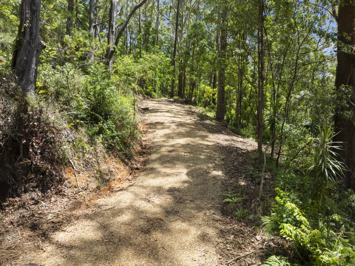 Additional image 21 of 144 Round Mountain Road, Round Mountain NSW 2484