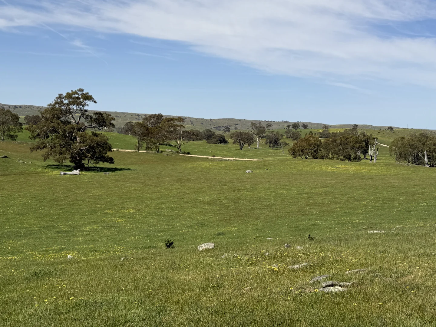 Additional image 13 of Lot 115 Mcgormans Road, Tungkillo SA 5236