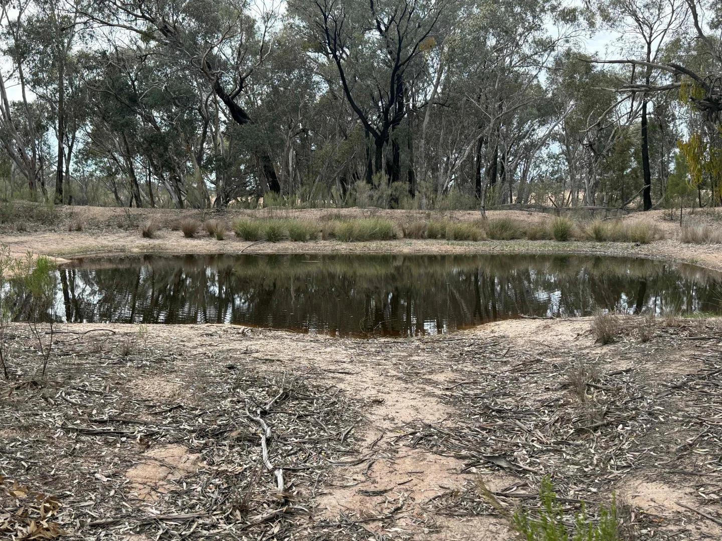 Additional image 6 of 'The Backwoods' 1054 Burley Griffin Way, Temora NSW 2666