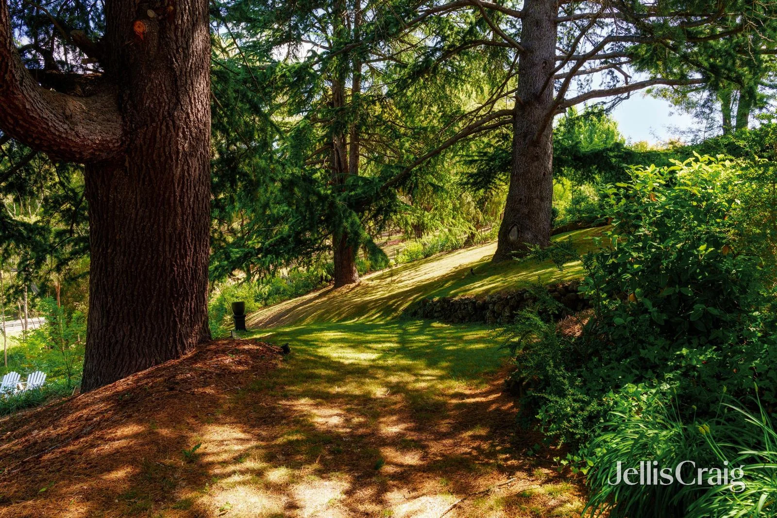 Additional image 19 of 1 Frame Avenue, Hepburn VIC 3461