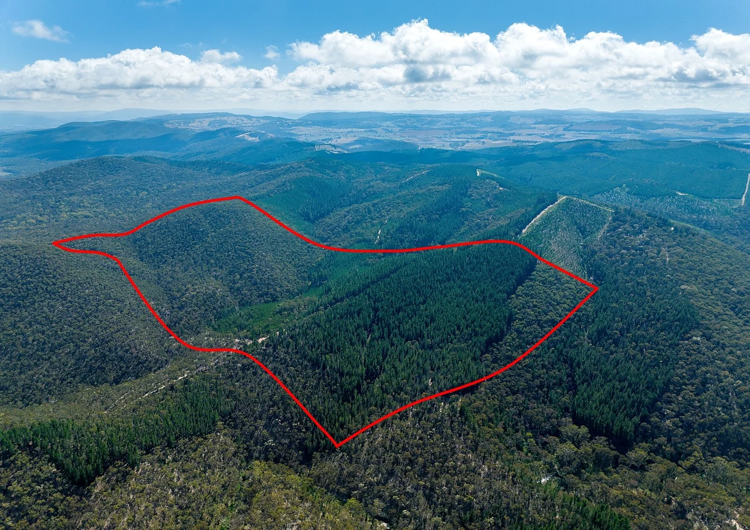 771 Greywacke Road, Twenty Forests NSW 2795