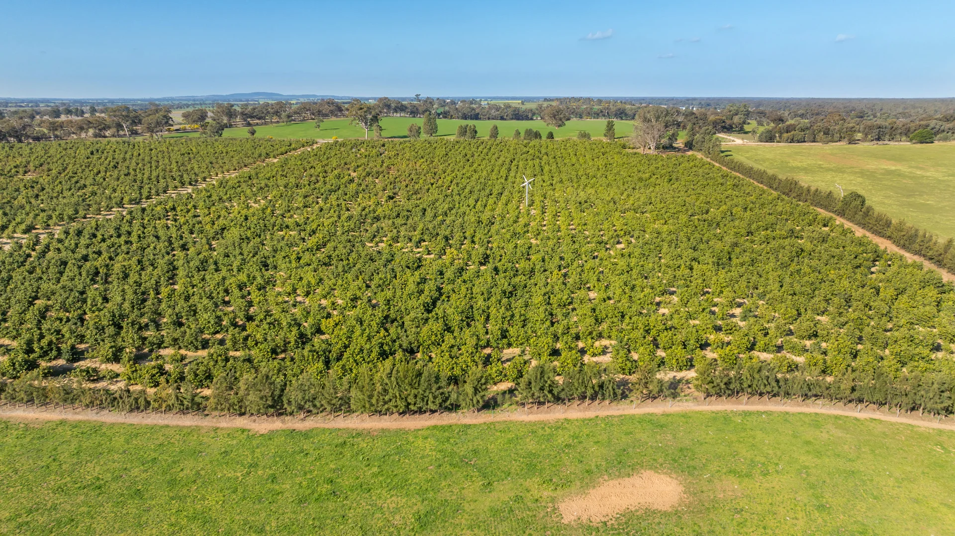 Additional image 8 of Sepelts Road, Barooga NSW 3644