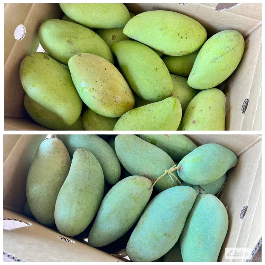 Additional image 31 of 125 Buckley Road, Lambells Lagoon NT 0822