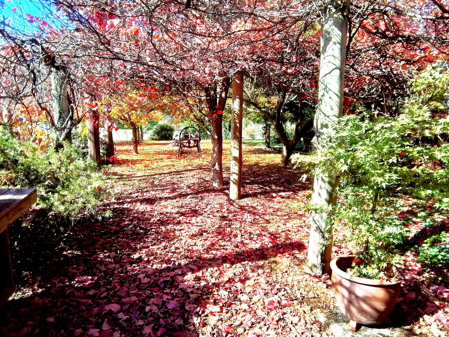 Additional image 19 of 249 Riverside Drive, Jugiong NSW 2726