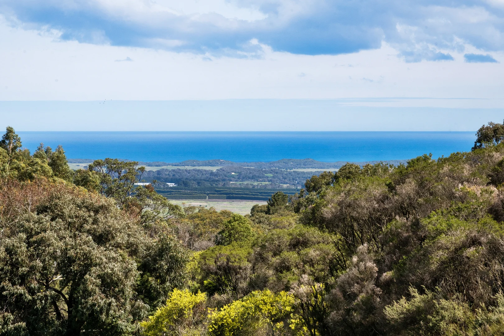 Additional image 8 of 61 Waterfall Gully Road, Main Ridge VIC 3928