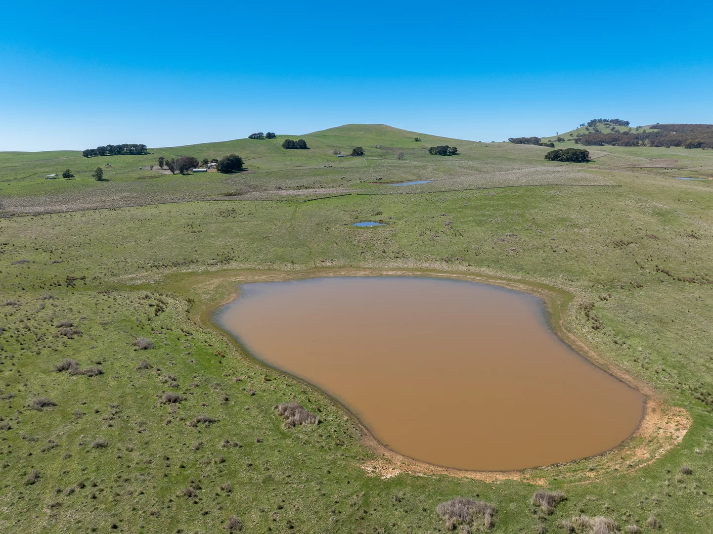 Additional image 20 of 242 Bundaleer Road, Newbridge NSW 2795