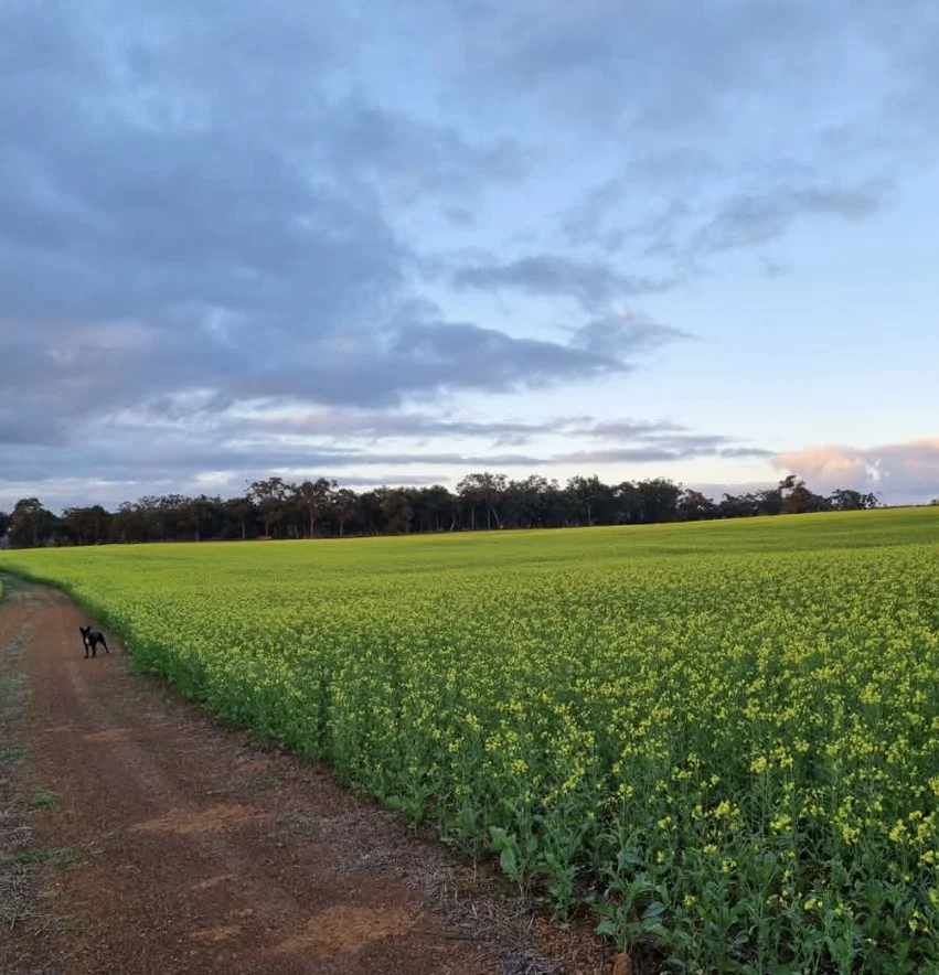 Additional image 18 of 647 Deep Creek Road, Kalgan WA 6330