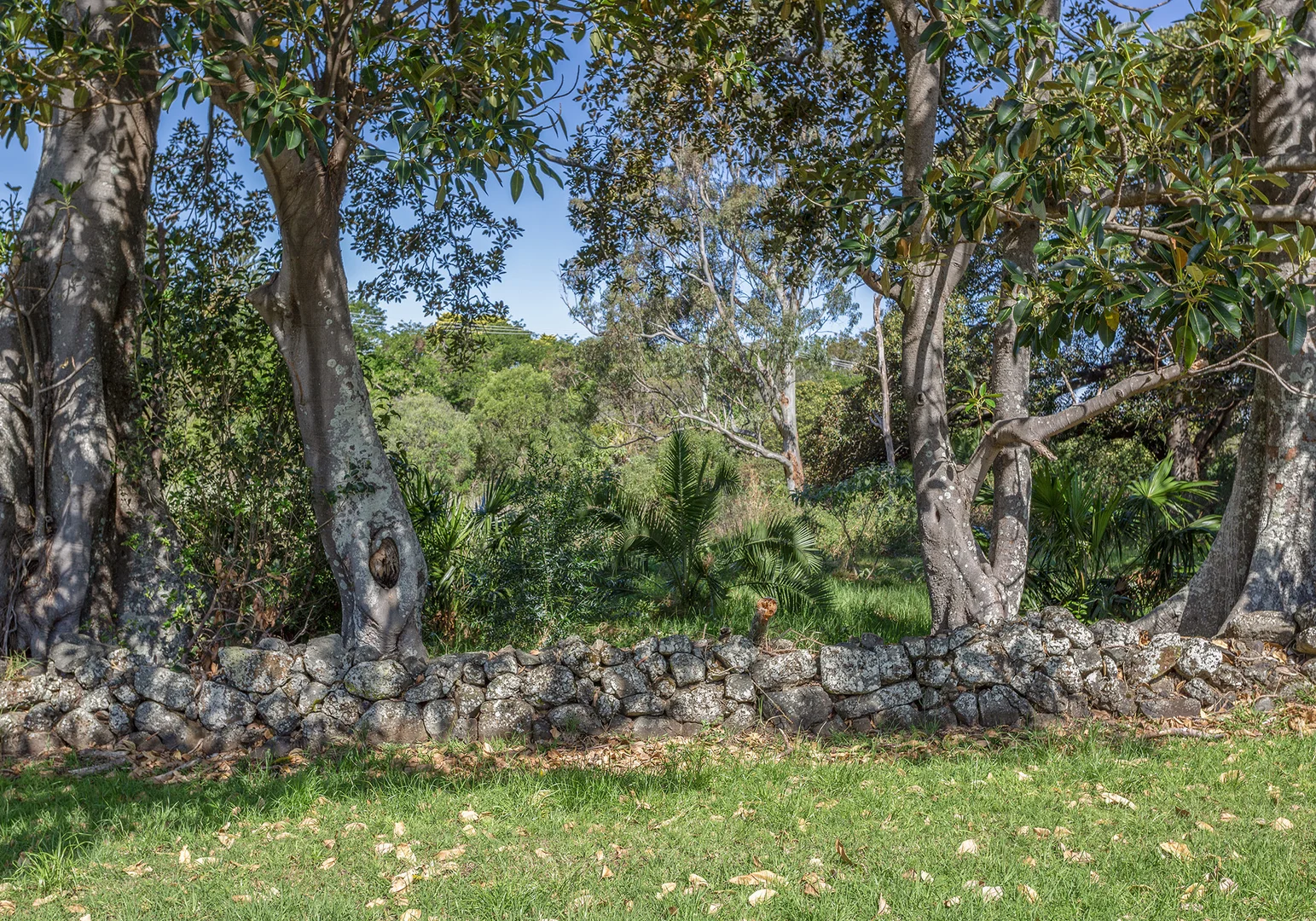 Additional image 3 of 11 Old Saddleback Road, Kiama NSW 2533