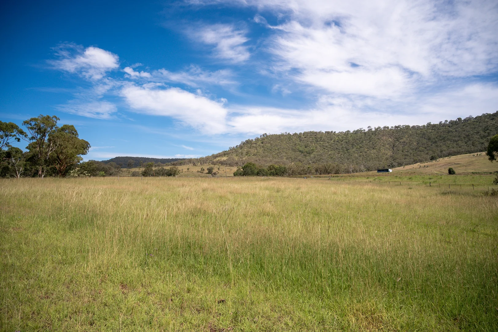 Additional image 20 of 1006 North Branch Road, Goomburra QLD 4362