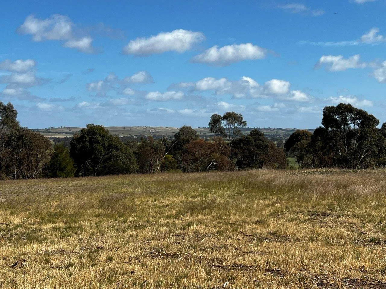Additional image 15 of CA59D&59C Plain Road, Heathcote VIC 3523