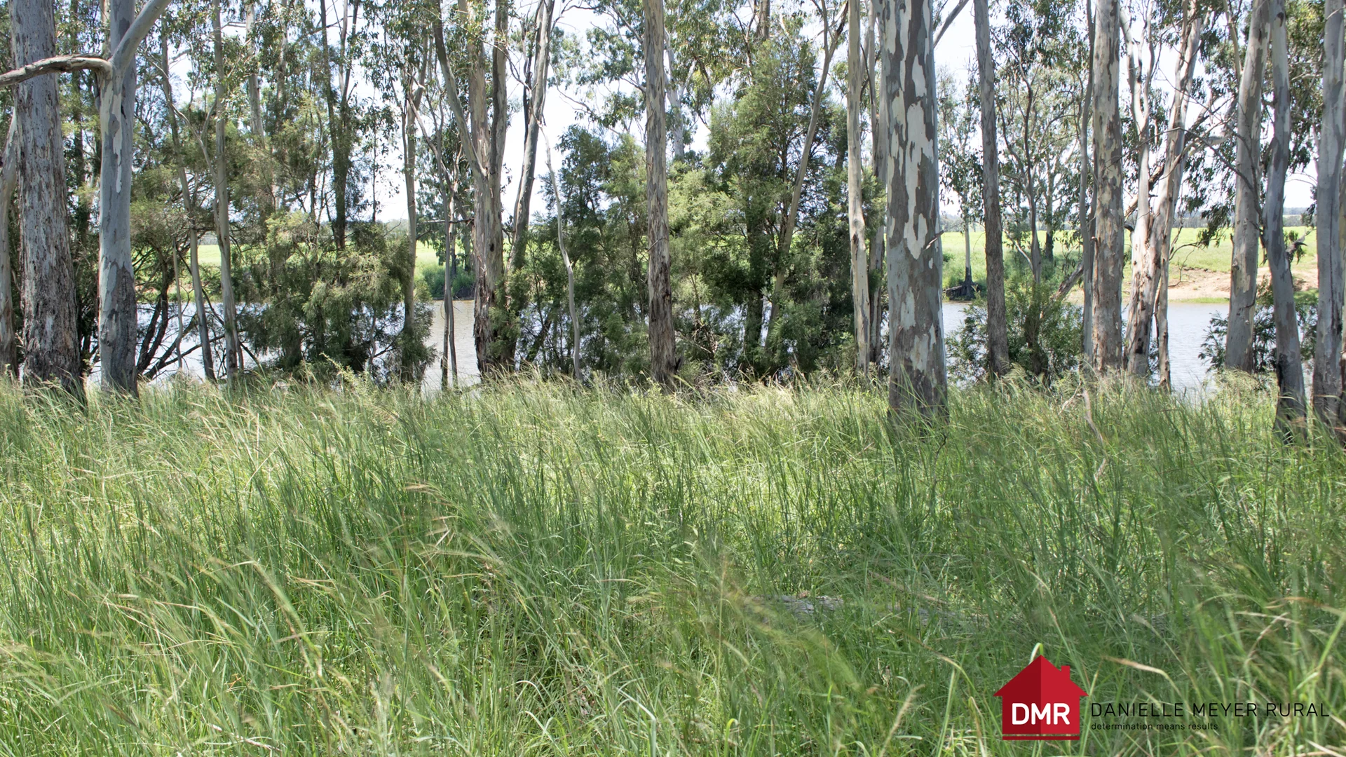 Additional image 43 of 8 Screening Plant Road, Cynthia QLD 4627