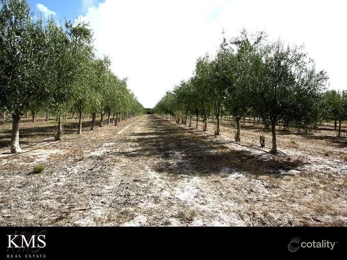 Additional image 12 of 454 Tangletoe Road, Muckenburra WA 6503